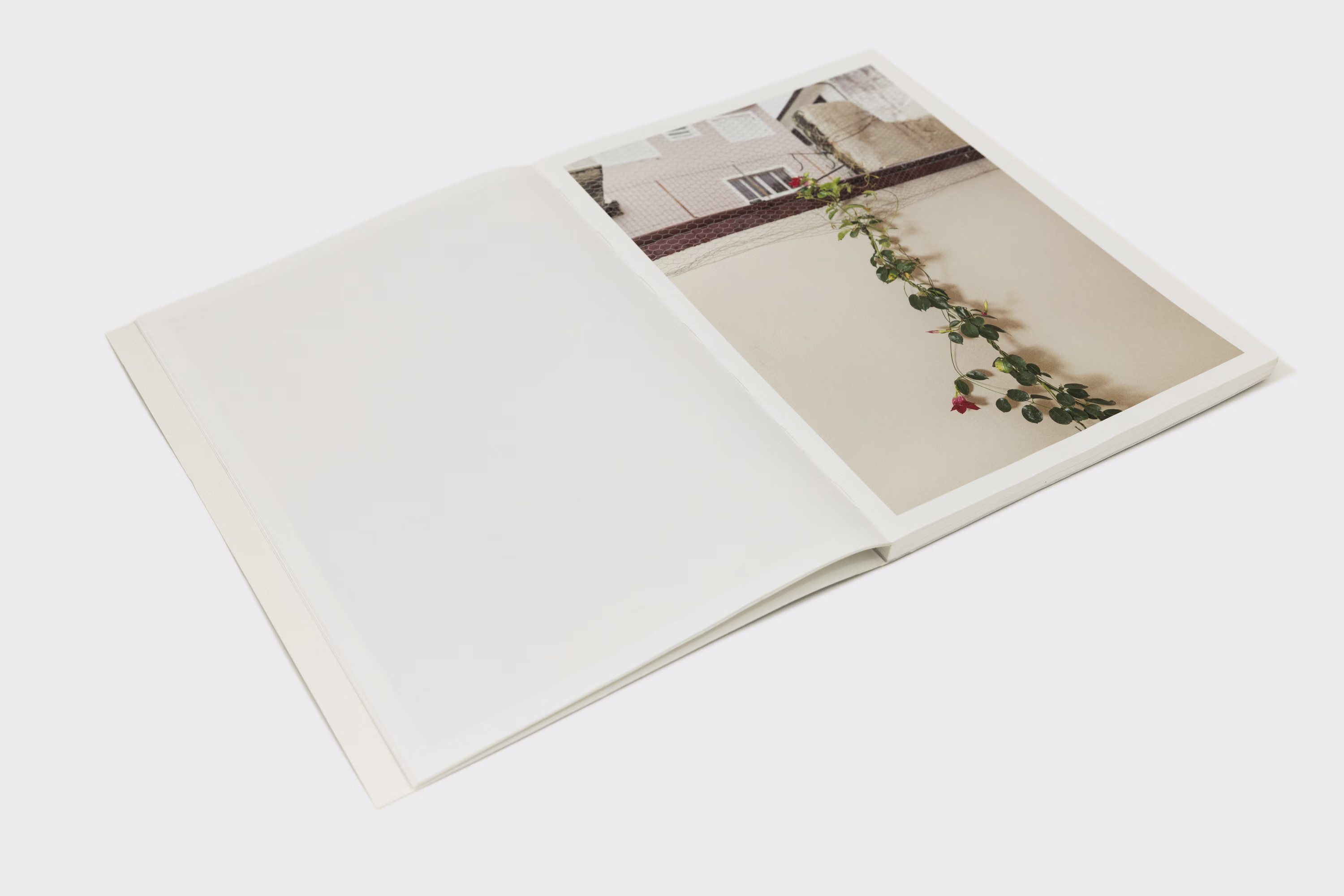Ricardo Tokugawa. Utaki, book view 3, 2021